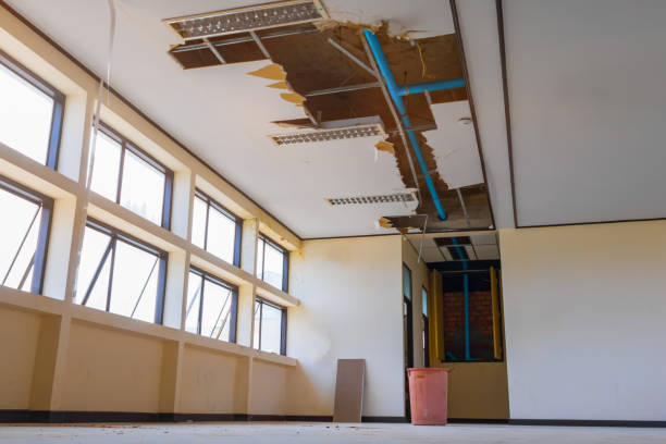 Best Water damage cleanup near me  in Elma, WA