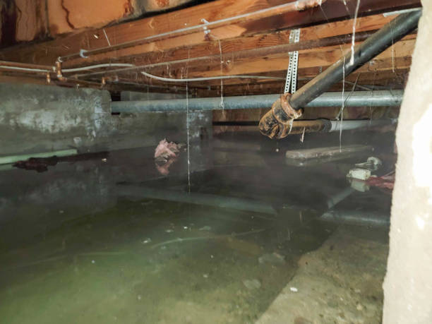 Water damage restoration insurance claims in Elma, WA