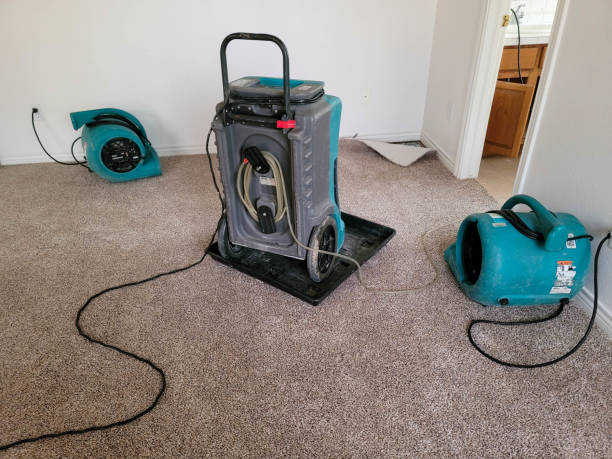 Best Emergency water damage restoration  in Elma, WA