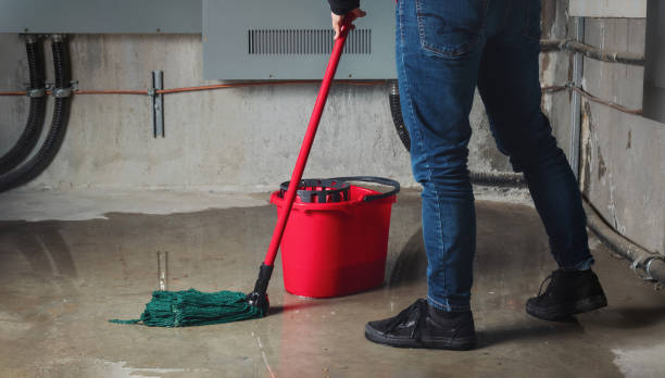 Best Water damage restoration insurance claims  in Elma, WA