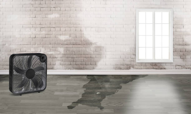 Best Sewage cleanup and water damage restoration  in Elma, WA