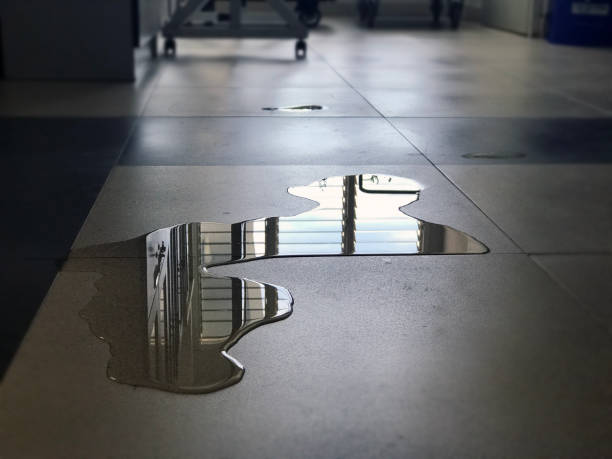 Local water damage restoration in Elma, WA