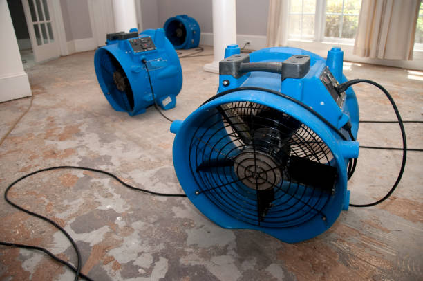 Water damage restoration mold remediation in Elma, WA