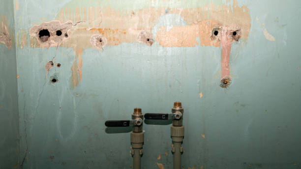  Elma, WA Water damage restoration Pros