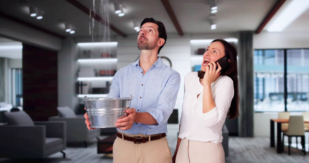 Best Professional water damage repair  in Elma, WA